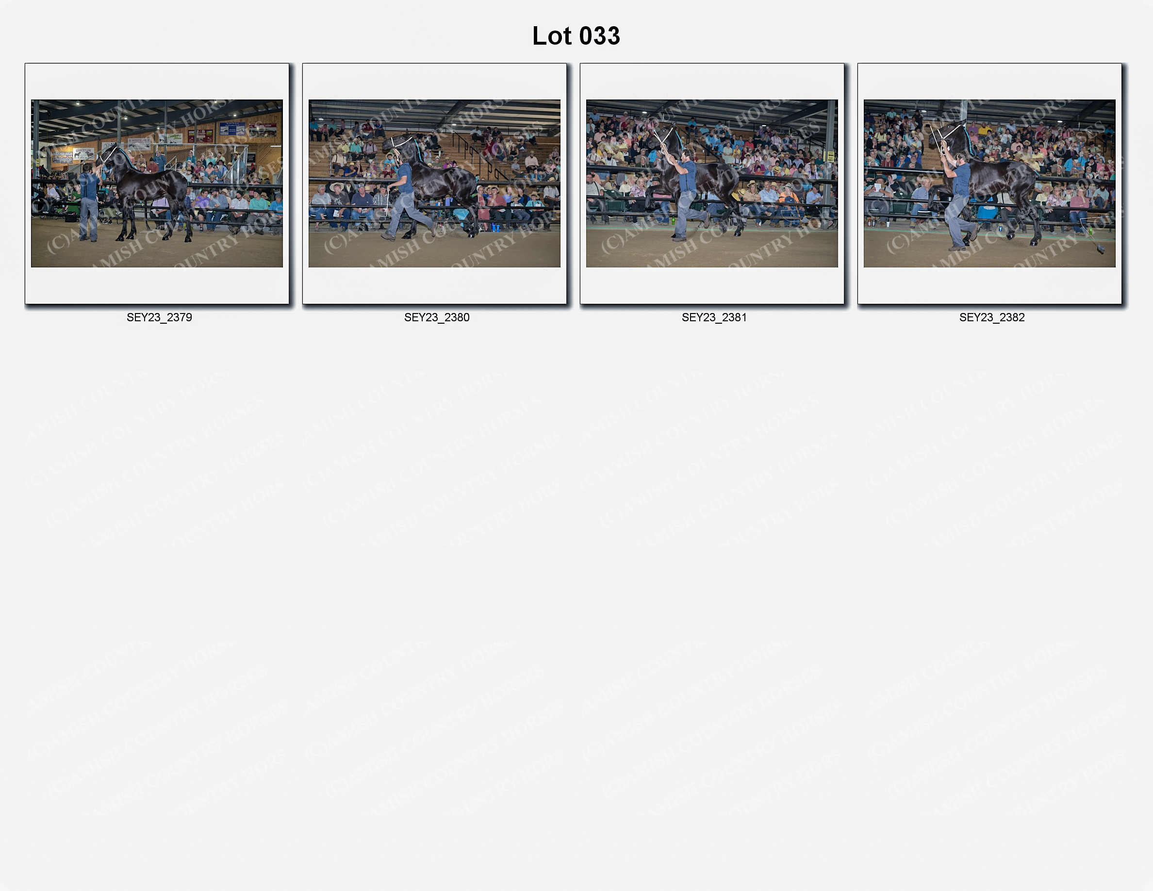 2023 Seymour Draft Sale